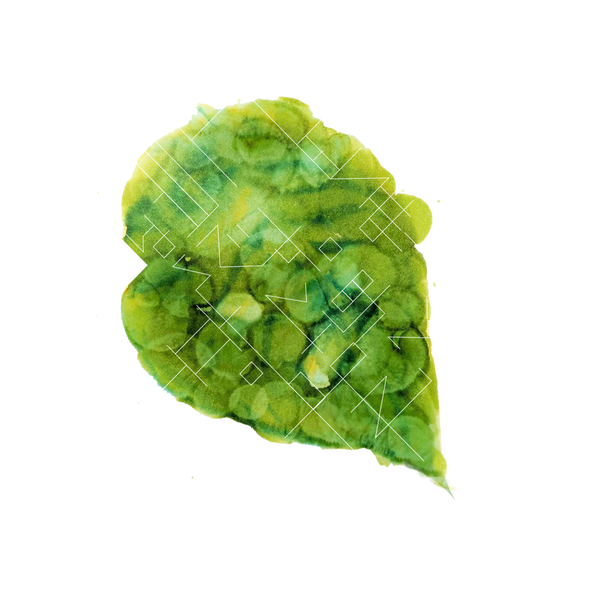 メインの絵